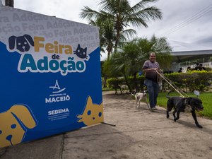 Feira de Adoção garante novos lares e acolhimento responsável para cães e gatos