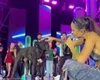 Cantora Michele Andrade adota cachorro que invadiu palco em show