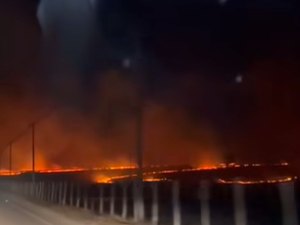 [Vídeo] Incêndio criminoso devasta vegetação entre Lagoa da Canoa e Girau do Ponciano