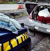 Polícia apreende 40 mil comprimidos de anfetamina em Sergipe