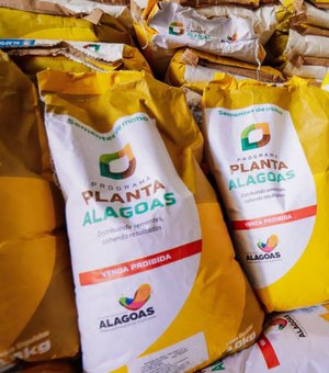 Palmeira dos Índios distribuirá 50 toneladas de sementes para 3 mil famílias rurais nesta sexta (8)
