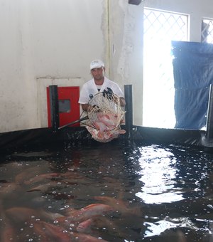 Feira do Peixe Vivo movimenta Mercado Público de Marechal Deodoro