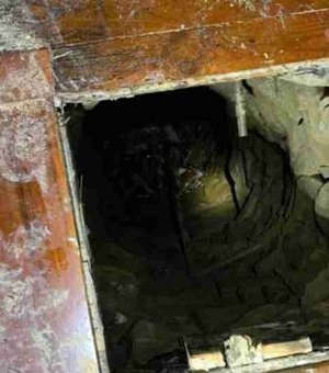 Homem acha poço do século XIX escondido no piso de casa