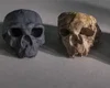 Crânio de 1 milhão de anos desafia crenças sobre evolução humana