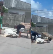 Moradores denunciam maus-tratos a cavalo e acúmulo de lixo no Benedito Bentes
