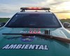 Polícia apreende armas de fogo, animais silvestres e redes de pesca predatória