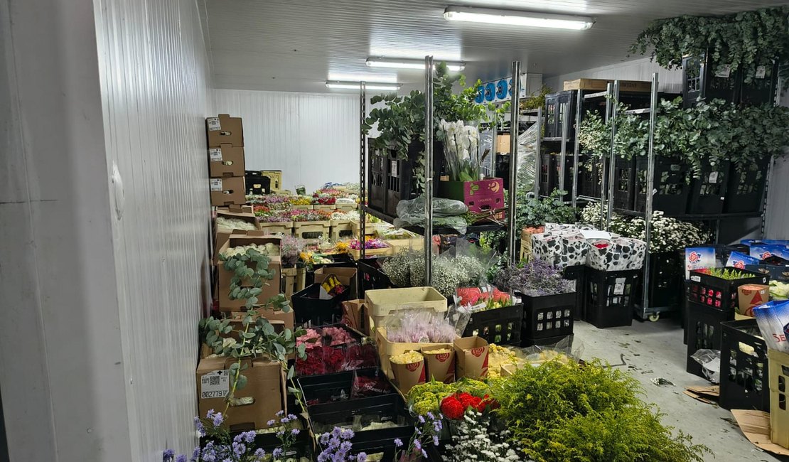Sefaz encontra R$ 100 mil em flores sem nota fiscal em depósito irregular em Alagoas