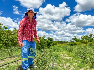 Projetos de agricultura irrigada no Sertão receberam investimentos de R$ 2,4 milhões do governo