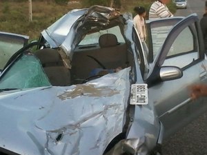 Animal solto causa acidente com morte na entrada de Senador Rui Palmeira