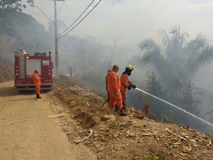 Bombeiros são acionados para combater incêndio em vegetação na Chã da Jaqueira