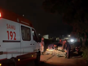 Acidente entre moto e cavalo deixa dois jovens feridos na AL-115, em Arapiraca