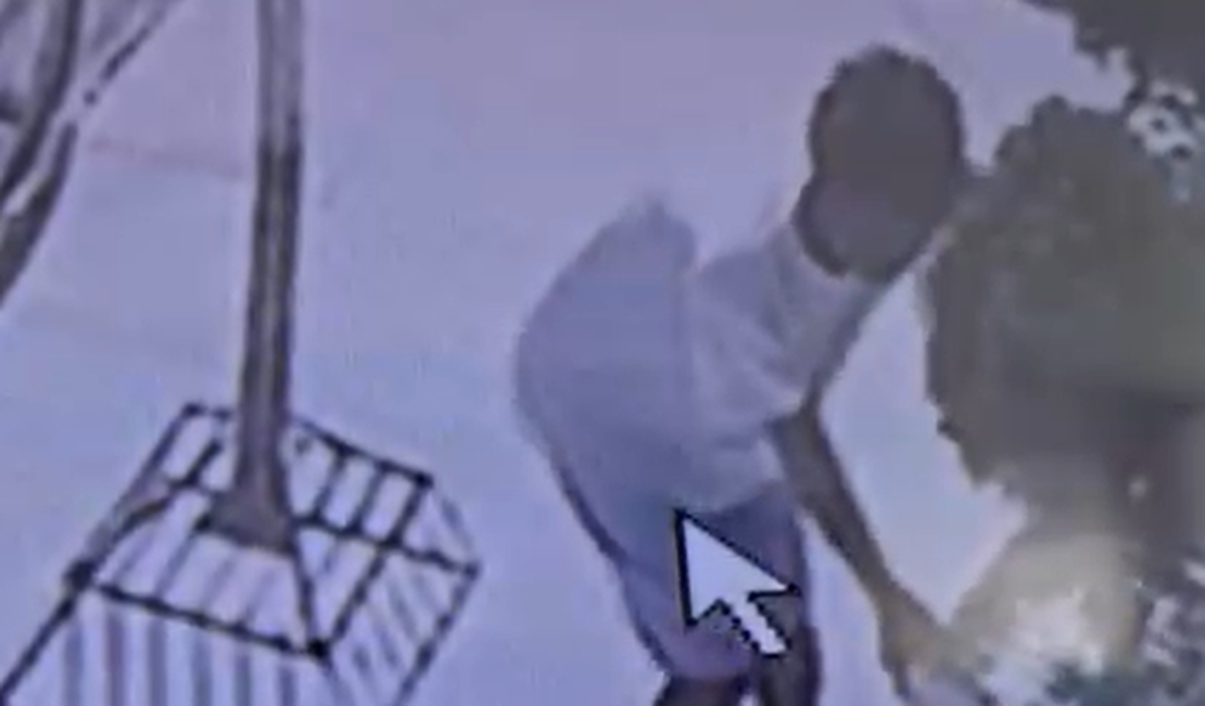 Jovem é flagrado furtando planta em vaso na rua Estudante em Arapiraca