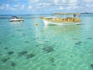 Recifes de Alagoas entram em projeto nacional de monitoramento e restauração ambiental