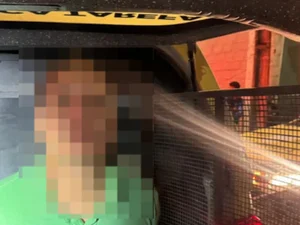 Jovem é preso após agredir homem com pedaço de madeira em Canapi