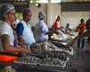 Confira o funcionamento de feiras e mercados públicos nos feriados