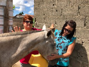 OAB/AL denuncia caso de advogada ameaçada nas redes sociais à PC