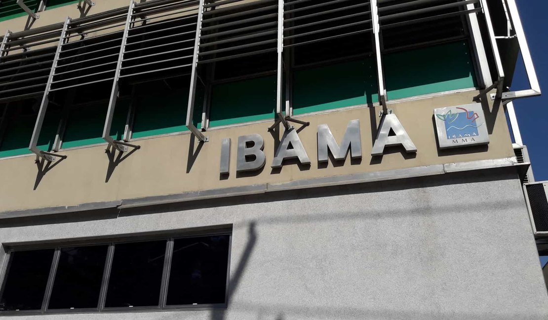 Com chefia esvaziada, Ibama quer mexer em regras para remoção de servidores