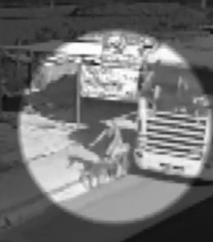 Vídeo mostra instante em que ciclista de 15 anos é atingida por carreta em Maceió