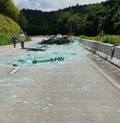 Carga de vidros cai de caminhão e ocupa parte de rodovia em Flexeiras