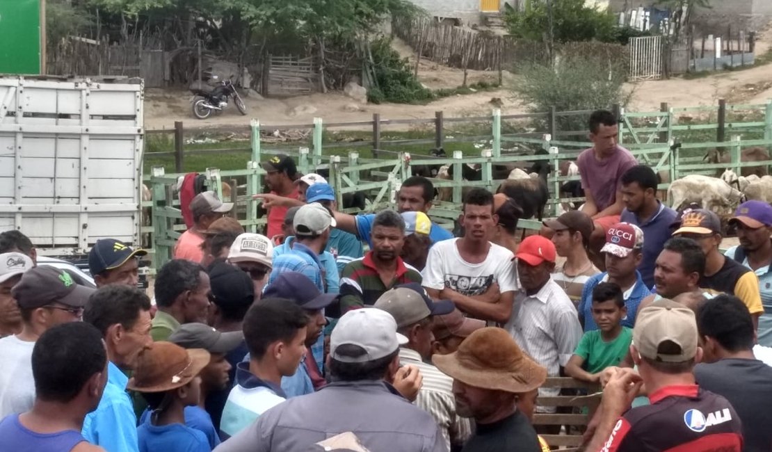 Sob manifestação, porcos são aprendidos em feira de animais no Sertão de Alagoas