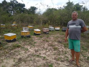 [Vídeo] Apesar das dificuldades, apicultor mantém produção de mel orgânico em Arapiraca