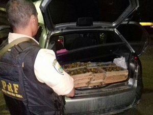 PRF apreende pássaros silvestres avaliados em R$ 35 mil