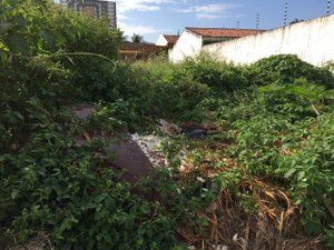 [Vídeo] Moradores apelam para dono de terreno baldio tomar providências em relação ao matagal e lixo em Arapiraca