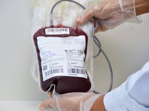 Hemoal realiza coleta de sangue em Junqueiro e União dos Palmares nesta terça (18)