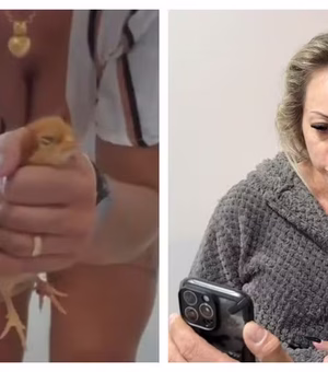 Suspeita de torturar e matar animais para vender vídeos na internet é presa em SP