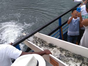 Peixes de espécies nativas são inseridos no São Francisco
