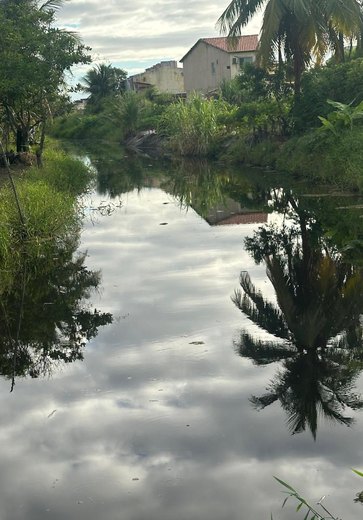 Morte de peixes no Rio Maceiozinho é alvo de investigação