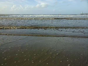 Mancha na Praia do Sobral é causada por microalgas