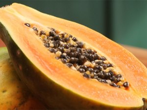 Descubra os benefícios de comer semente de mamão