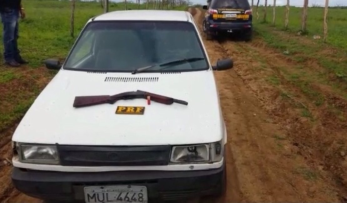 Ladrões de ovelhas invadem fazenda e deixam dois funcionários feridos