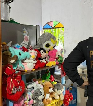 PF cumpre quase 200 mandados contra abuso sexual infantojuvenil em Alagoas e outros estados