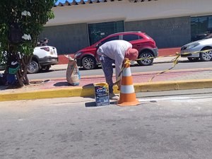 Prefeitura de Palmeira faz últimos ajustes na manutenção dos canteiros de avenidas