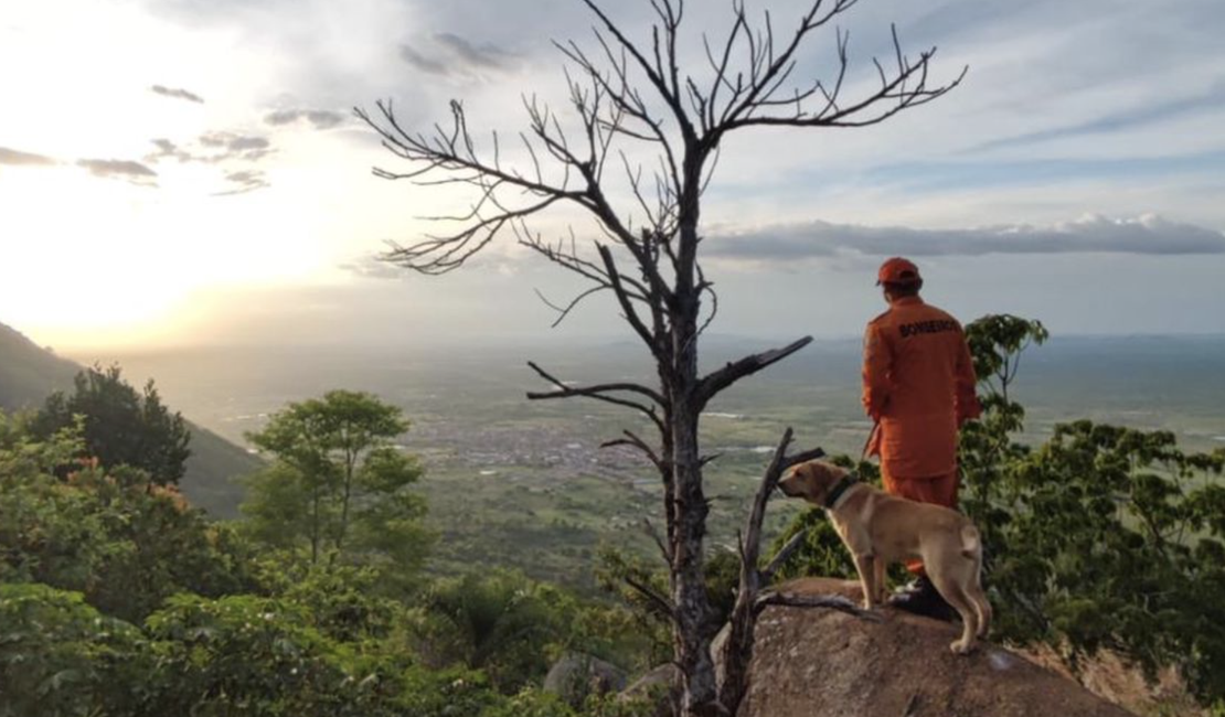 Bombeiros alagoanos e cães farejadores vão ajudar no resgate as vítimas em Petrópolis