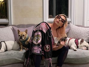 Cachorros de Lady Gaga são roubados durante passeio com 'dog walker'; rapaz foi baleado durante ação