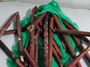 Ladrão é preso por invadir Banco do Brasil e furtar cobre de aparelhos em Arapiraca