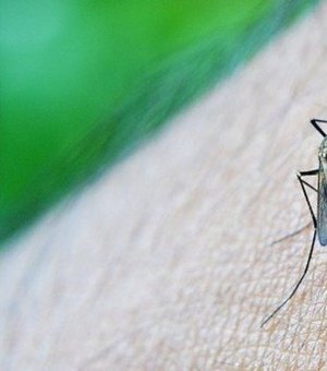 Unidades de Pronto Atendimento apontam crescimento de dengue em Maceió