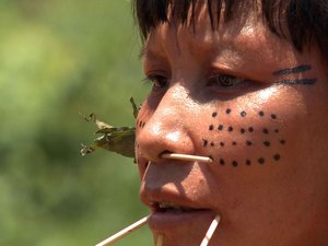 Observatório identifica 42 políticos com fazendas em terras indígenas