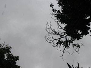 Feriado do Dia do Trabalhador em Alagoas tem previsão de chuva