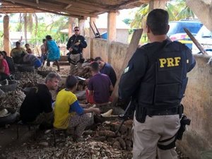 Brasil tem quase 2 escravos modernos a cada mil habitantes, diz ONG