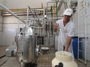 Usina de beneficiamento pode salvar cadeia produtiva do leite em Alagoas