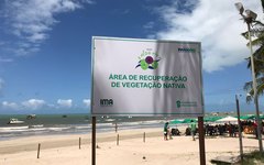 Prefeitura inicia plantio de salsa na Praia de Maragogi
