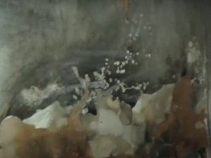 Incêndio consome casa localizada no Trapiche e proprietária pede doações