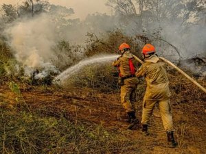 Amazônia registra maior número de queimadas desde junho de 2007