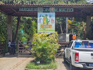 Parque Municipal suspende acesso às trilhas durante período chuvoso