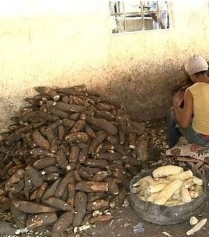Crianças que trabalhavam em casa de farinha no Agreste deverão ser protegidas pelo município