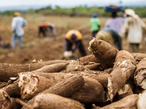 Prorrogação do pagamento de dívida de produtores beneficia cooperativas de Alagoas